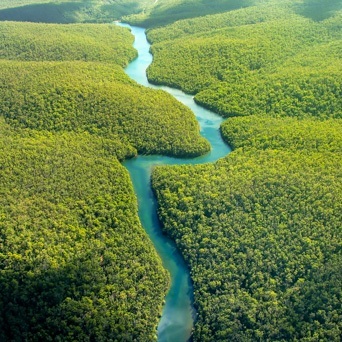 Generali Amazonas Latin-Amerikai Részvény V/E Befektetési Alap